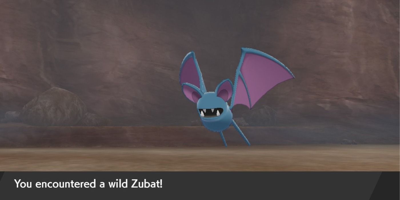 Pokemon Sword and Shield Crown Tundra Zubat
