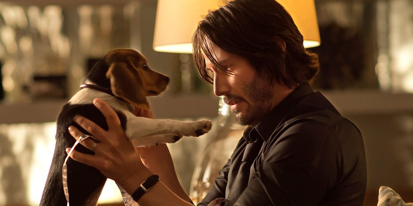 O vídeo do cachorro de Keanu Reeves lembrará por que John Wick estava tão bravo