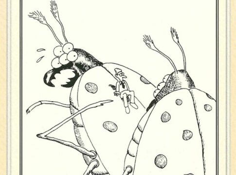 Os 10 quadrinhos mais engraçados do Far Side que provam que é obcecado por insetos